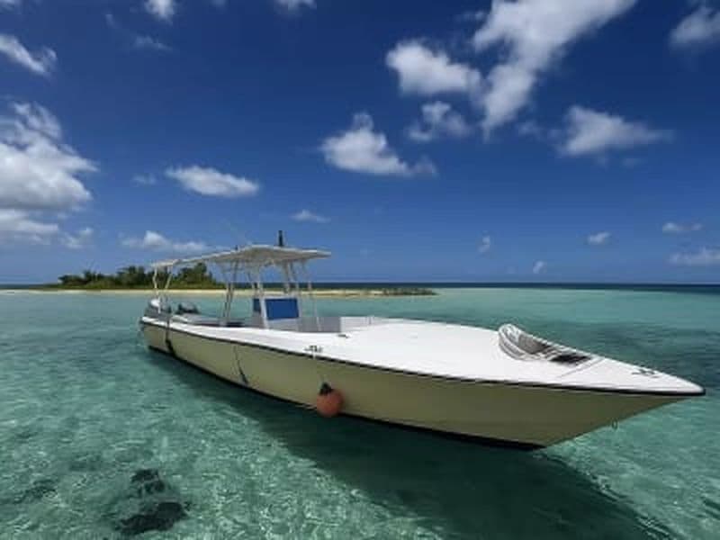 Billet Excursion en bateau à Marie-Galante depuis Le Gosier et visite guidée de l’île en bus