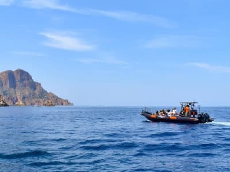 Billet Balade en bateau à la Réserve naturelle de Scandola depuis Calvi