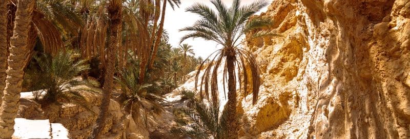 Billet Excursion privée depuis Tozeur