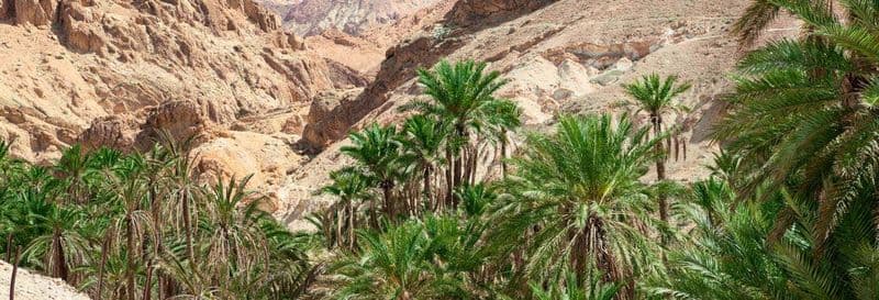 Billet Excursion à Chebika, Tamerza et Midès