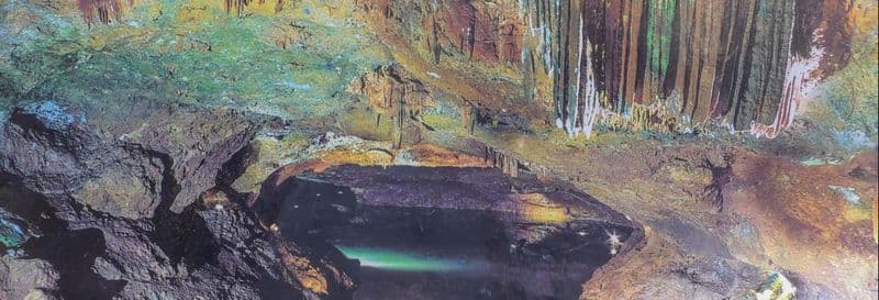 Billet Excursion aux grottes de San José