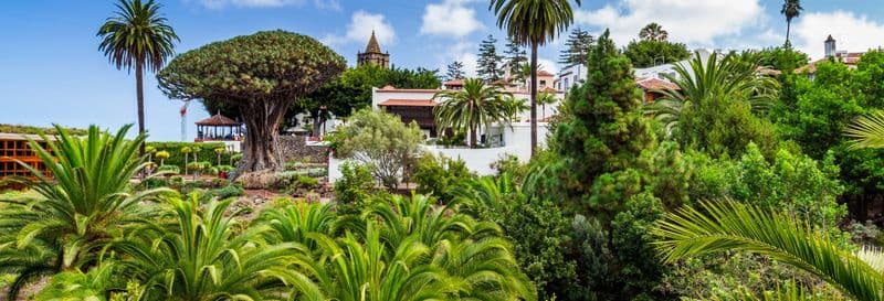 Billet Free tour dans Icod de los Vinos