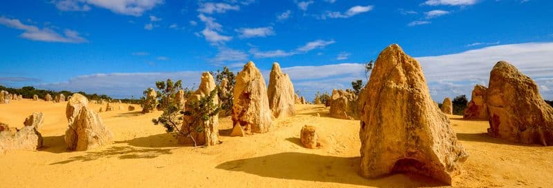 Billet Excursion dans le Désert des Pinnacles