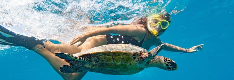 Billet Nage avec des tortues dans la baie d'Akumal