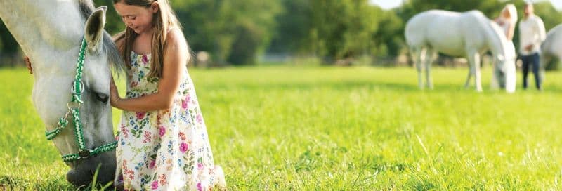 Billet Excursion à Lipica et aux grottes de Skocjan