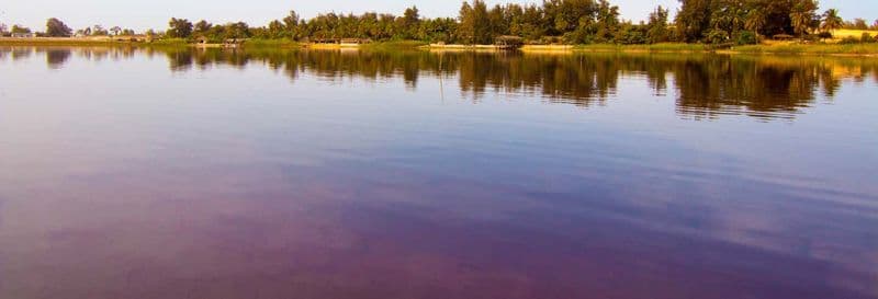 Billet Excursion privée au lac Rose