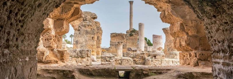Billet Excursion à Carthage et Sidi Bou Saïd