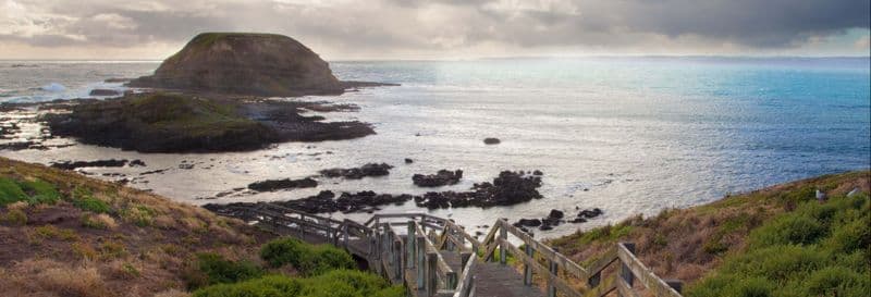 Billet Excursion d'une journée à Phillip Island