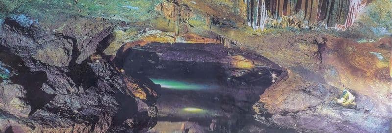 Billet Excursion aux grottes de San José