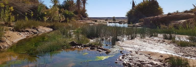 Billet Balade en 4x4 dans la carrière de fossiles d'Erfoud
