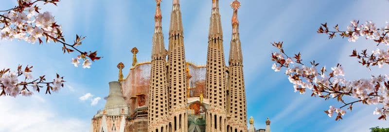 Billet Visite de la Sagrada Familia sans file d'attente