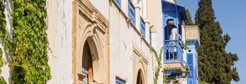 Billet Free tour dans Sidi Bou Said