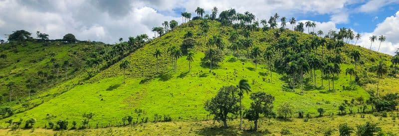 Billet Truck safari dans Punta Cana