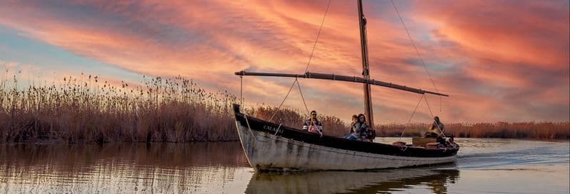 Billet Excursion au parc naturel de l'Albufera et à Cullera