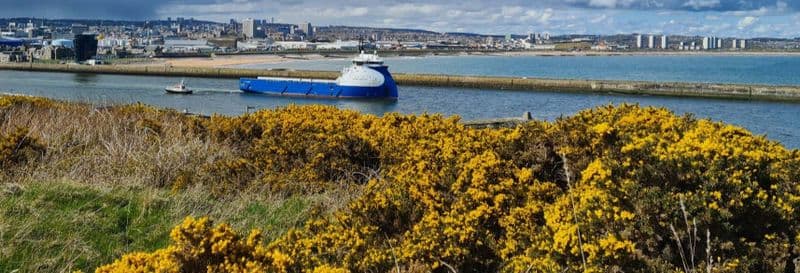 Billet Excursion au château de Dunnottar + Route côtière de l'Aberdeenshire