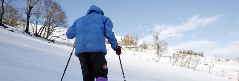 Billet Balade en raquettes à neige au Parc National Pyhä-Luosto