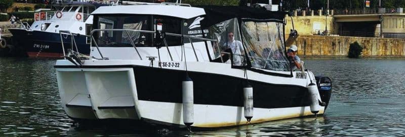 Billet Balade en bateau à Séville avec guide