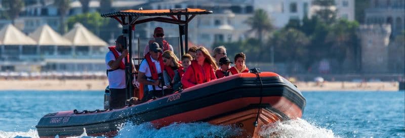 Billet Observation de dauphins à Cascais