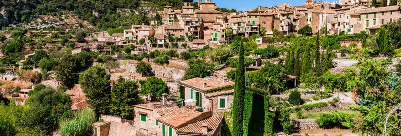 Billet Excursion à Palma et Valldemossa