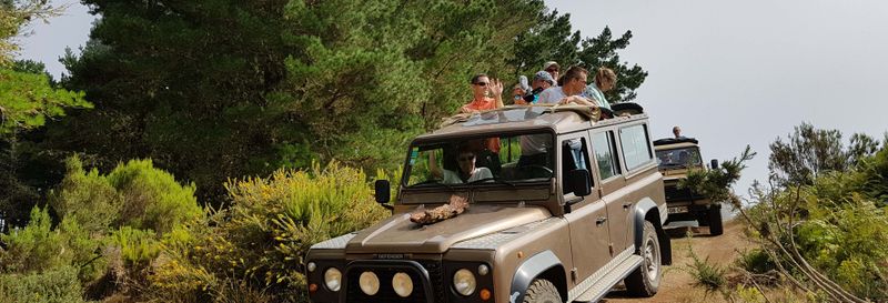 Billet Observation de cétacés + Balade en 4x4