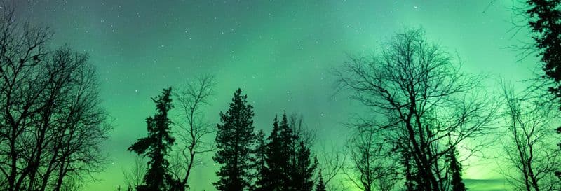 Billet Rovaniemi : Excursion à la découverte des aurores boréales
