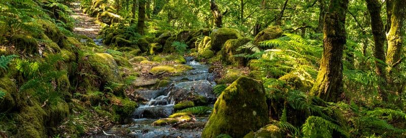 Billet Canyoning dans le Parc national de Peneda-Gerês