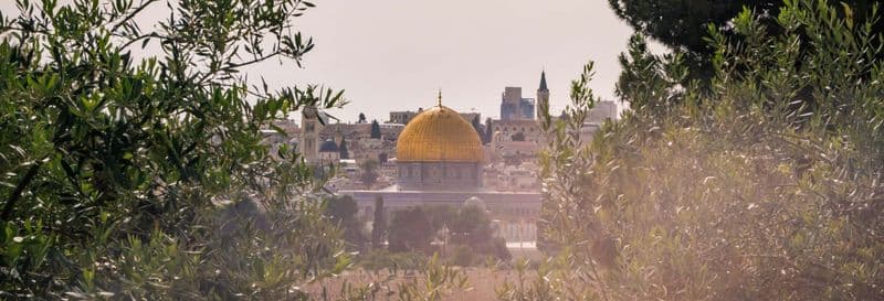 Billet Visite du Mont des Oliviers
