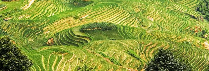 Billet Excursion aux rizières en terrasses et aux villages de Longji