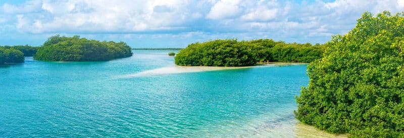 Billet Excursion à Sian Ka'an + Balade à Muyil