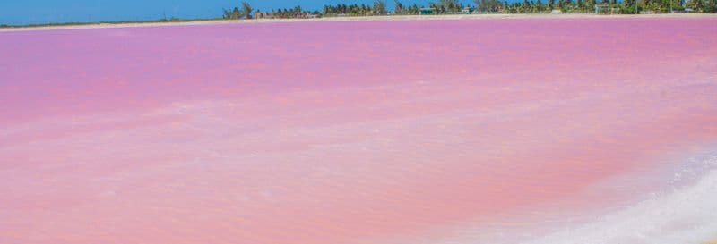 Billet Excursion à Las Coloradas