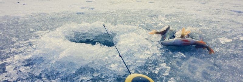 Billet Balade en raquettes à neige + Pêche sur glace