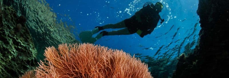 Billet Baptême de plongée à Mykonos