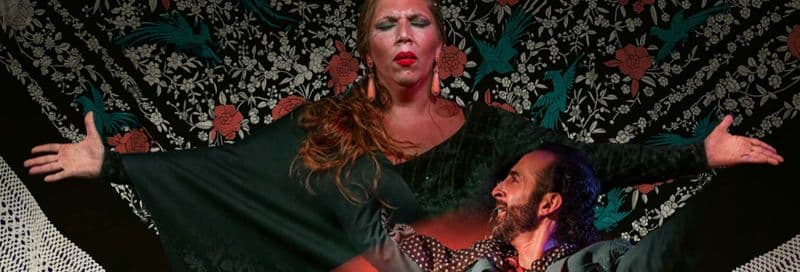 Billet Spectacle de flamenco