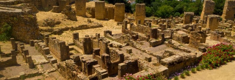 Billet Visite de Tunis, Carthage et Sidi Bou Saïd pour croisiéristes