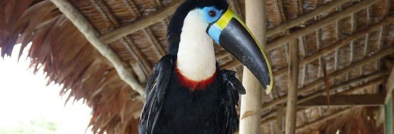 Billet Excursion de 2 jours dans la réserve naturelle de Marasha