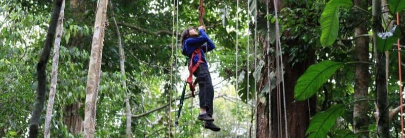 Billet Nuit dans la réserve naturelle de Tanimboca