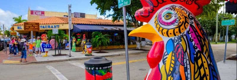 Billet Visite à pied dans Little Havana