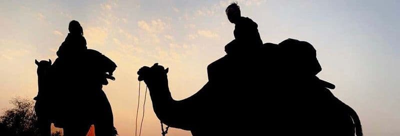 Billet Nuit dans le désert de Thar