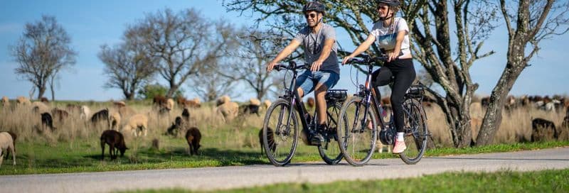Billet Visite dans Albufeira en vélo électrique