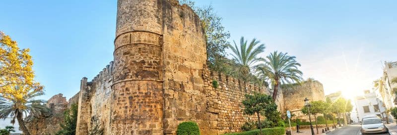 Billet Free tour dans Marbella