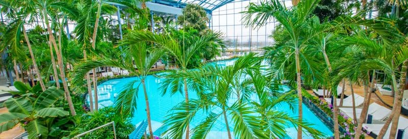 Billet Billet pour le Therme de Bucarest