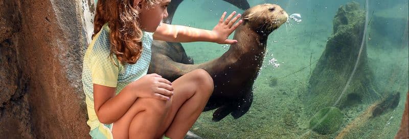 Billet Billet pour le Zoo de Miami