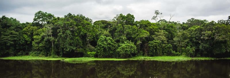 Billet Excursion au Parc national de la Mefou et à la réserve forestière d'Ebogo