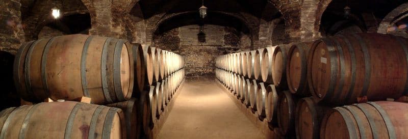 Billet Visite des vignobles de Santa Rita