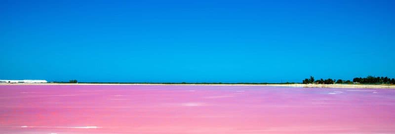 Billet Excursion à Las Coloradas