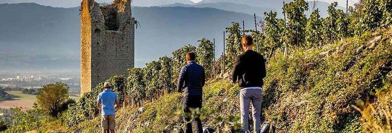 Billet Balade en segway dans Chignin + dégustation de vins