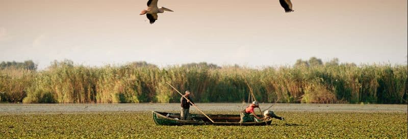 Billet Excursion au delta du Danube