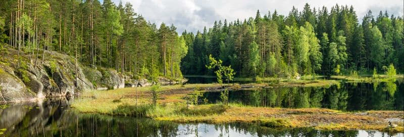 Billet Excursion au Parc National Nuuksio