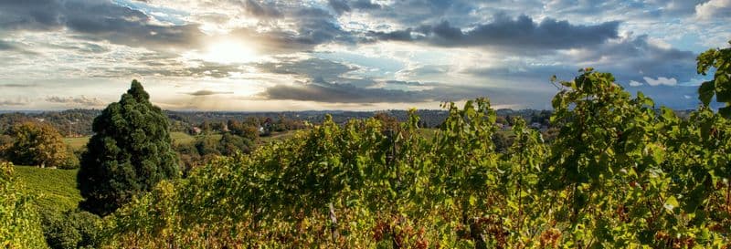 Billet Visite d'un domaine viticole à Pau