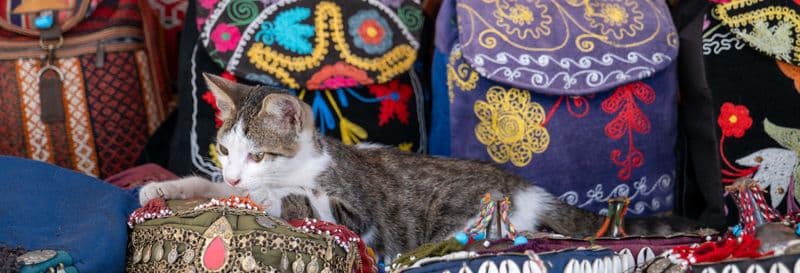 Billet Free tour dans l'Istanbul alternatif